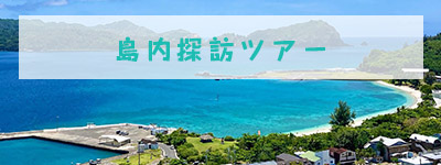 島内探訪ツアー